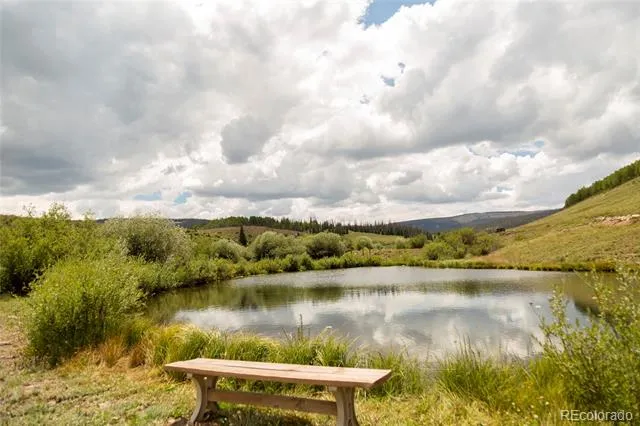 1001 CR 17 #Aspen Cabin Lake City, CO 81235