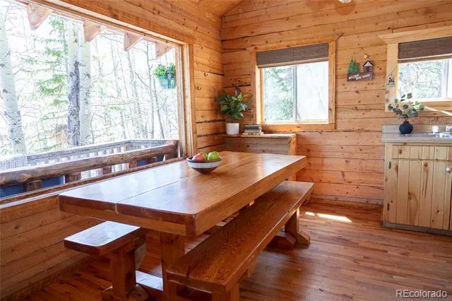 1001 CR 17 #Aspen Cabin Lake City, CO 81235