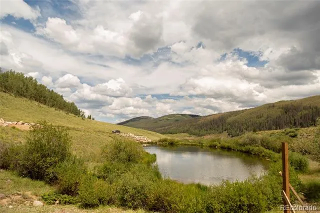 1001 CR 17 #Aspen Cabin Lake City, CO 81235