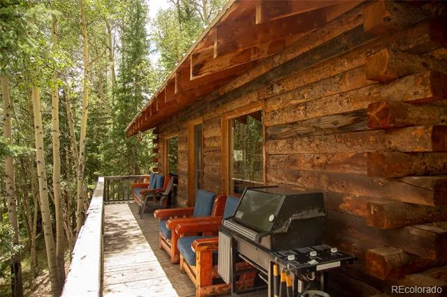 1001 CR 17 #Aspen Cabin Lake City, CO 81235