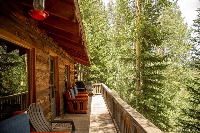 1001 CR 17 #Aspen Cabin Lake City, CO 81235