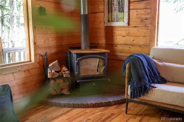 1001 CR 17 #Aspen Cabin Lake City, CO 81235
