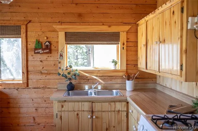1001 CR 17 #Aspen Cabin Lake City, CO 81235