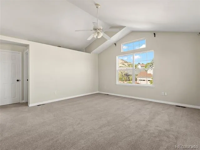 1921 Fringe Court Castle Rock, CO 80109