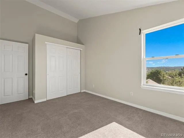 1921 Fringe Court Castle Rock, CO 80109