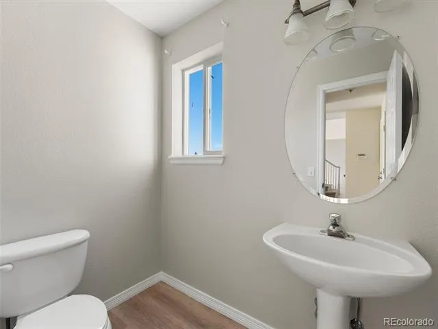 1921 Fringe Court Castle Rock, CO 80109