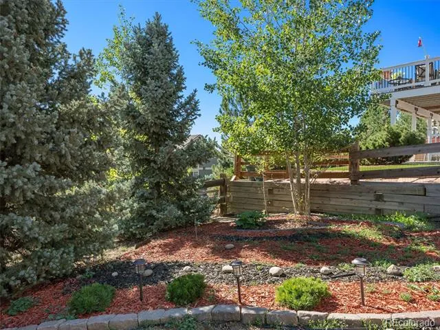 1921 Fringe Court Castle Rock, CO 80109