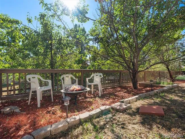 1921 Fringe Court Castle Rock, CO 80109