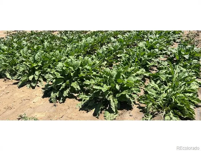 0 WCR 23 Windsor, CO 80550