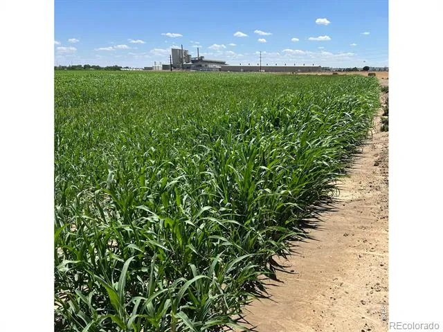 0 WCR 23 Windsor, CO 80550