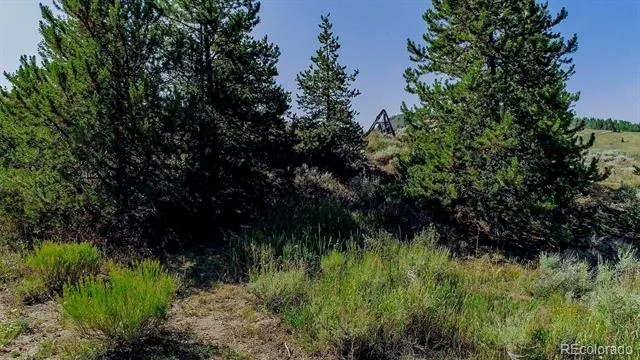 889 E Anemone Trail Dillon, CO 80435