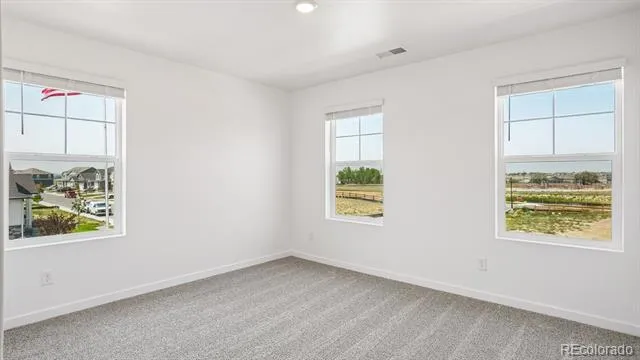 43113 Castle Stuart Street Elizabeth, CO 80107
