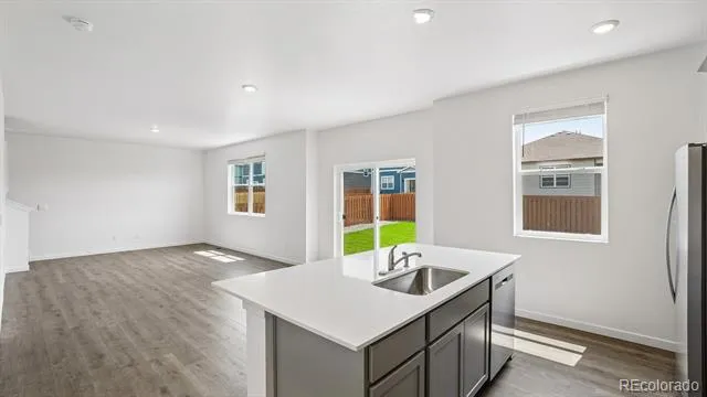 43113 Castle Stuart Street Elizabeth, CO 80107