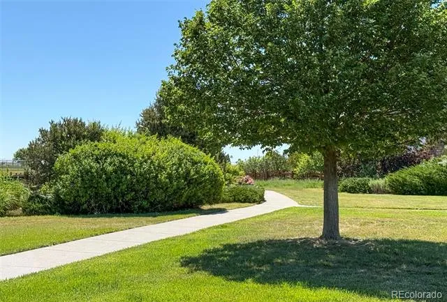 214 Flat Rock Street Aurora, CO 80018
