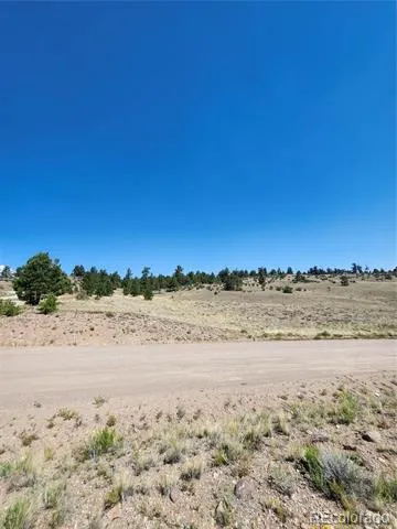 64 Bandana Road Hartsel, CO 80449