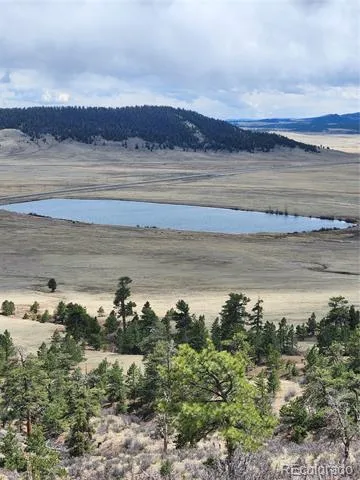 64 Bandana Road Hartsel, CO 80449