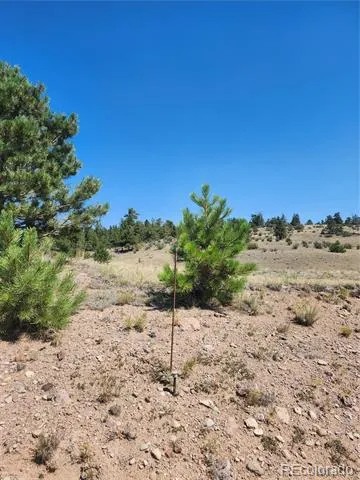 64 Bandana Road Hartsel, CO 80449