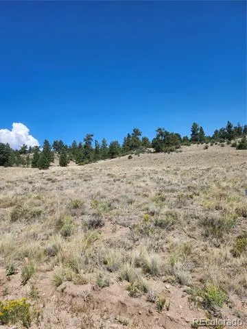 64 Bandana Road Hartsel, CO 80449