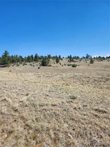 64 Bandana Road Hartsel, CO 80449
