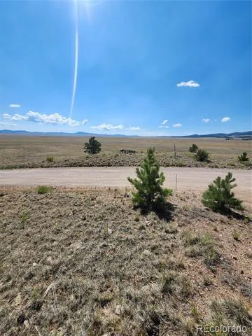 64 Bandana Road Hartsel, CO 80449