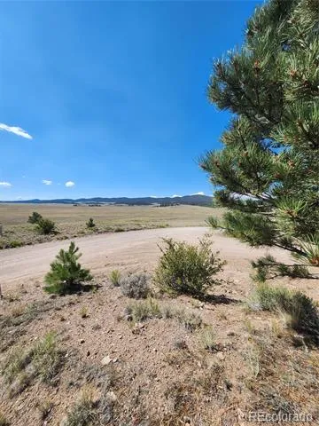 64 Bandana Road Hartsel, CO 80449