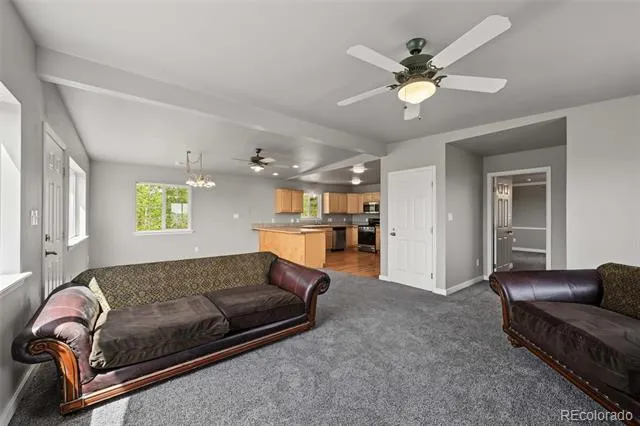 141 Hiawatha Circle Hartsel, CO 80449