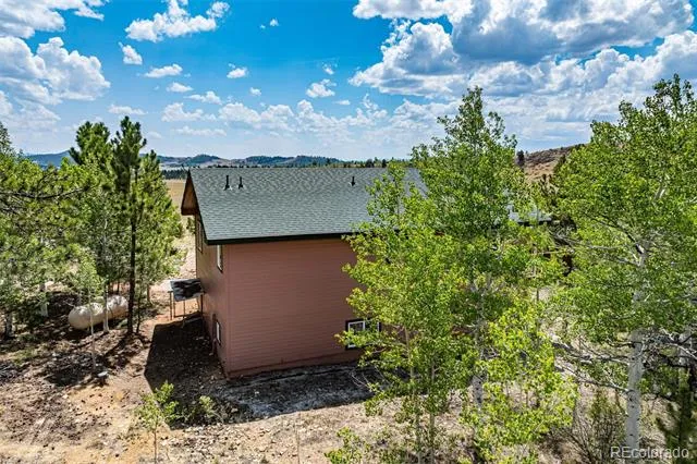 141 Hiawatha Circle Hartsel, CO 80449