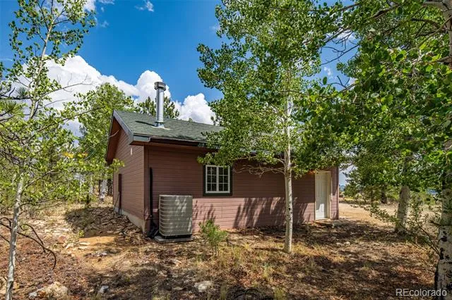141 Hiawatha Circle Hartsel, CO 80449