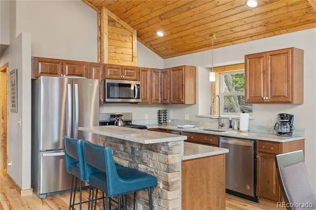 181 Valley Of The Sun Drive Fairplay, CO 80440