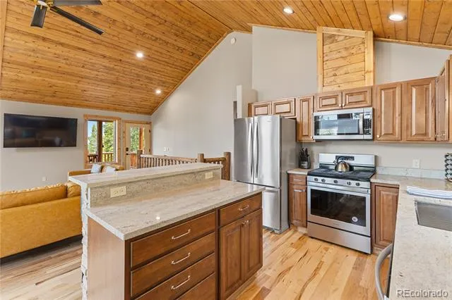 181 Valley Of The Sun Drive Fairplay, CO 80440