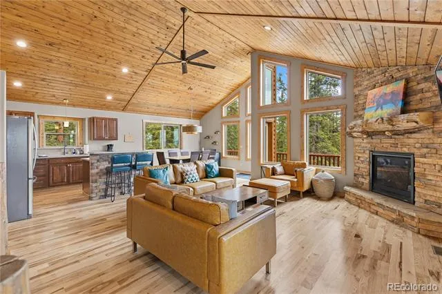 181 Valley Of The Sun Drive Fairplay, CO 80440