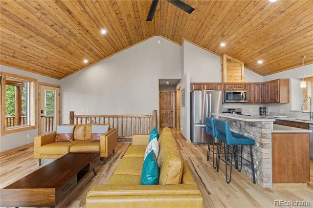181 Valley Of The Sun Drive Fairplay, CO 80440
