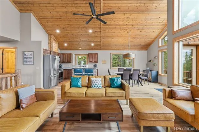 181 Valley Of The Sun Drive Fairplay, CO 80440