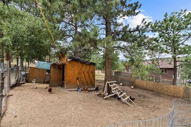 41 Yew Lane Bailey, CO 80421