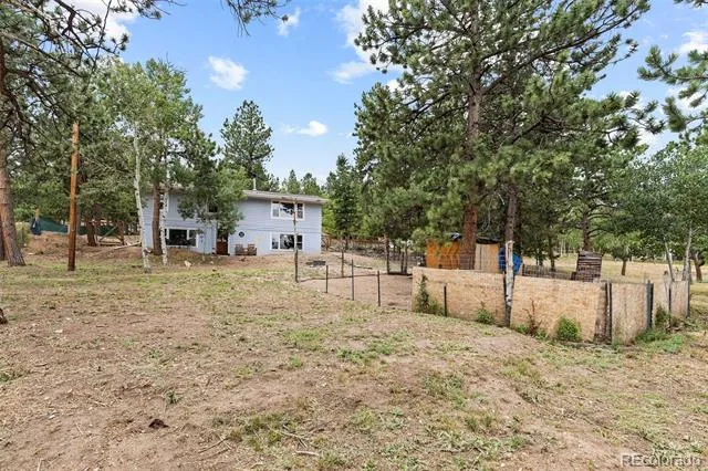41 Yew Lane Bailey, CO 80421