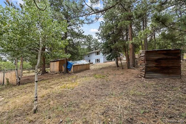 41 Yew Lane Bailey, CO 80421