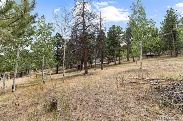 41 Yew Lane Bailey, CO 80421
