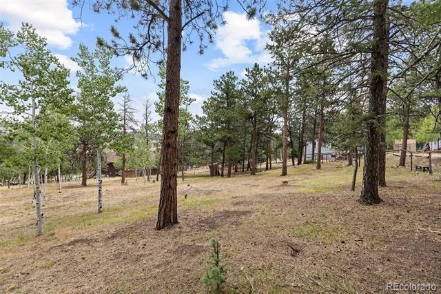 41 Yew Lane Bailey, CO 80421