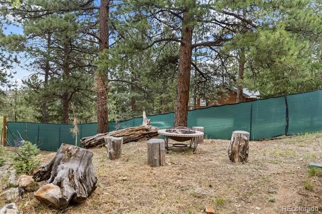 41 Yew Lane Bailey, CO 80421