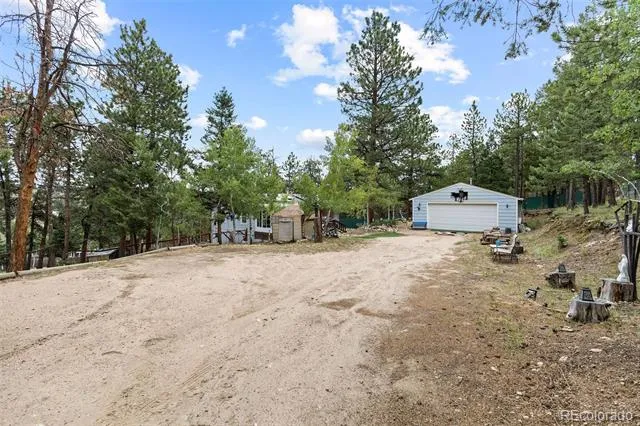 41 Yew Lane Bailey, CO 80421
