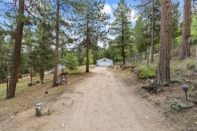 41 Yew Lane Bailey, CO 80421