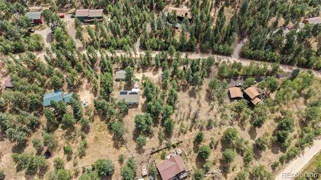 41 Yew Lane Bailey, CO 80421