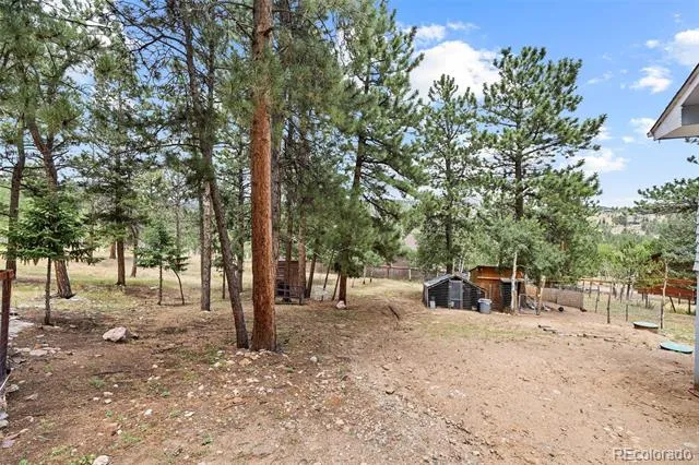 41 Yew Lane Bailey, CO 80421