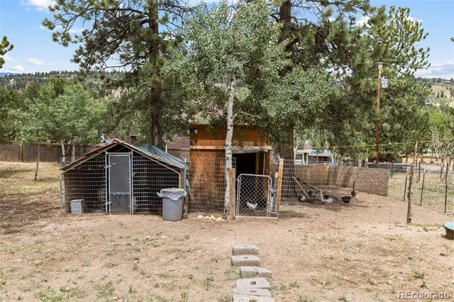41 Yew Lane Bailey, CO 80421