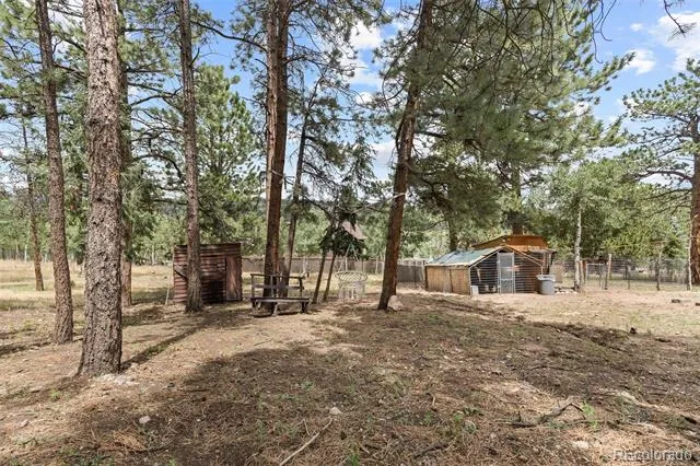 41 Yew Lane Bailey, CO 80421