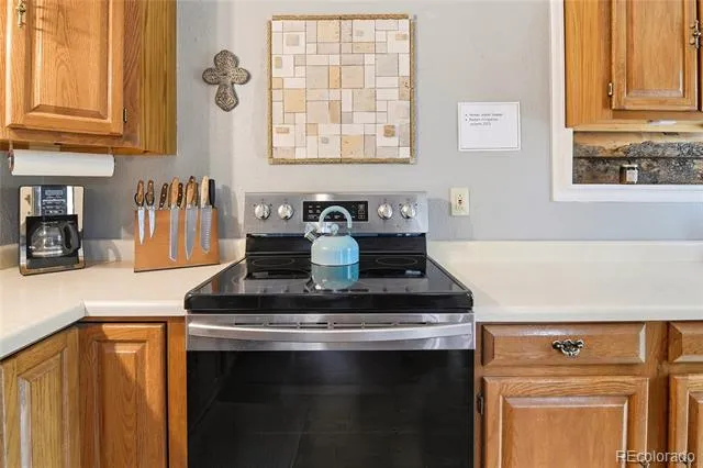185 Alice Road Idaho Springs, CO 80452