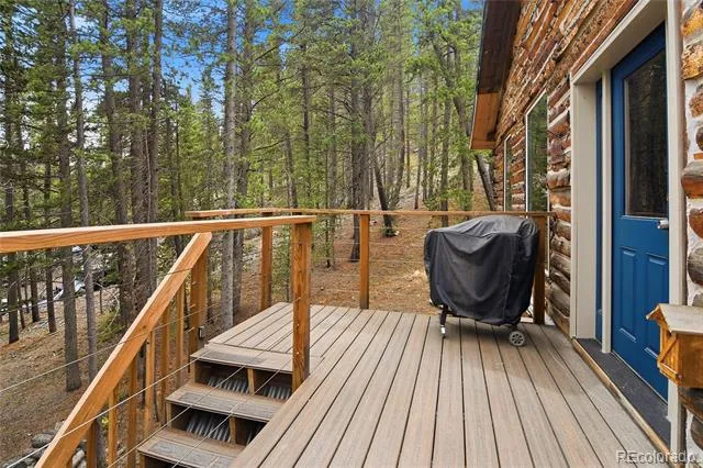 185 Alice Road Idaho Springs, CO 80452