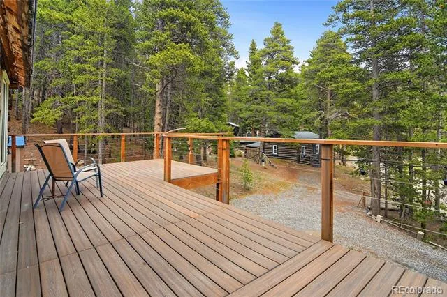185 Alice Road Idaho Springs, CO 80452