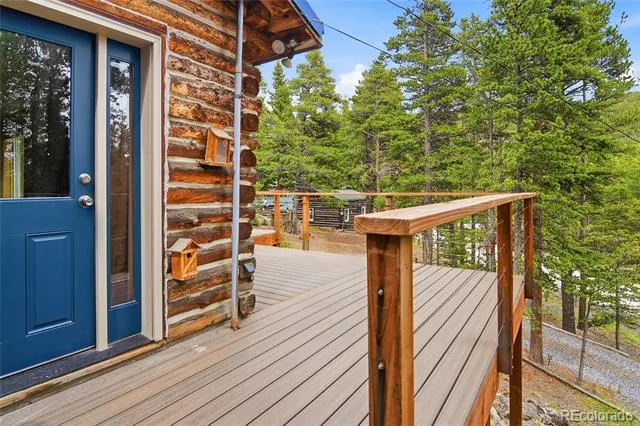 185 Alice Road Idaho Springs, CO 80452