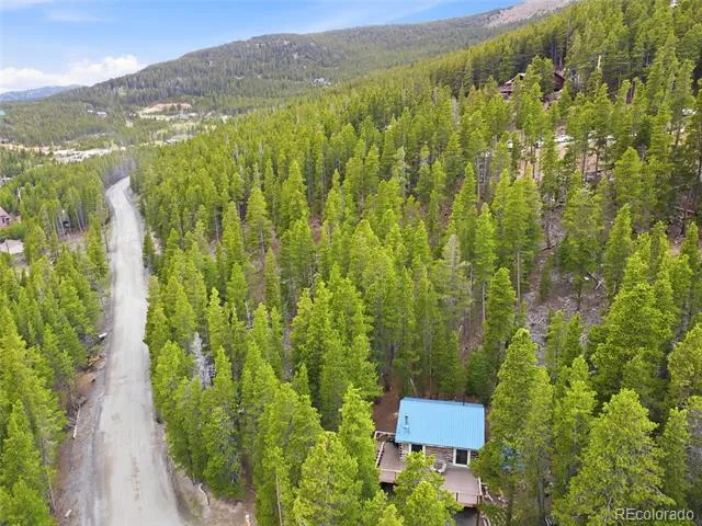 185 Alice Road Idaho Springs, CO 80452